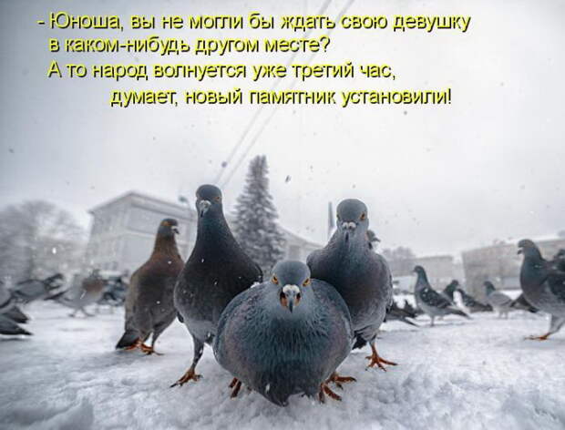 Лучшие котоматрицы недели Лучшие котоматрицы недели