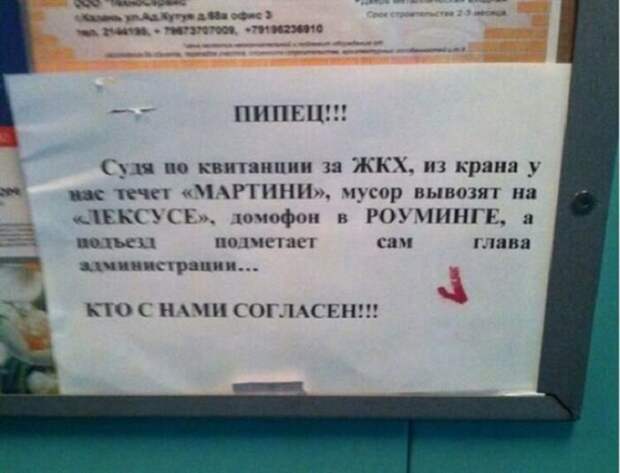 Несколько объявлений, которые моментально поднимают настроение