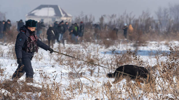 Пропавшего подростка четвертую неделю ищут в Краснодарском крае