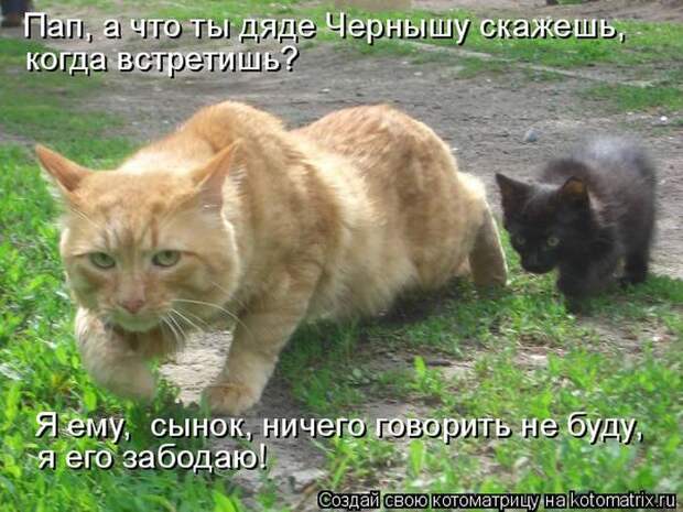Мысли вслух :)