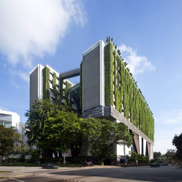 Фасады и крыша комплекса Школы искусств WOHA покрыты буйной зеленью (Сингапур). | Фото: weekend.rambler.ru.