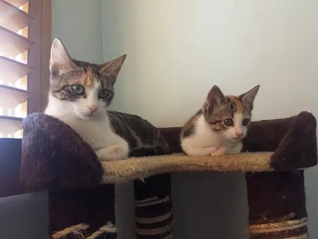 ����������: 50 ��������� ����� � �� �������������� ����-����� �24 - BigPicture.ru