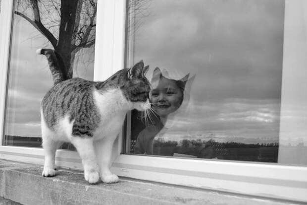 amazing-reflections-optical-illusions-48-5837ee0e55eca__700