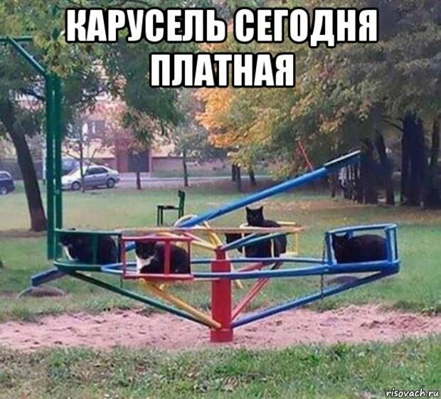 Прикольные картинки ❘ 15 фото Прикольные картинки ❘ 15 фото