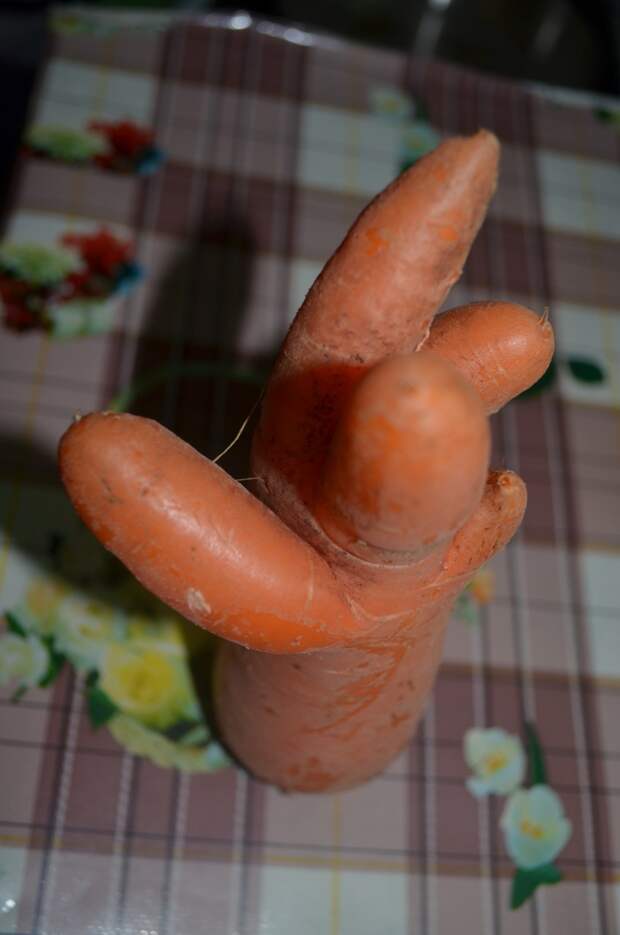 смешная морковка