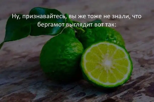 Чай с бергамотом: польза и вред. Что нужно знать?