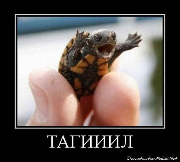 Всяко - разно 19 ))) Всяко - разно 19 )))