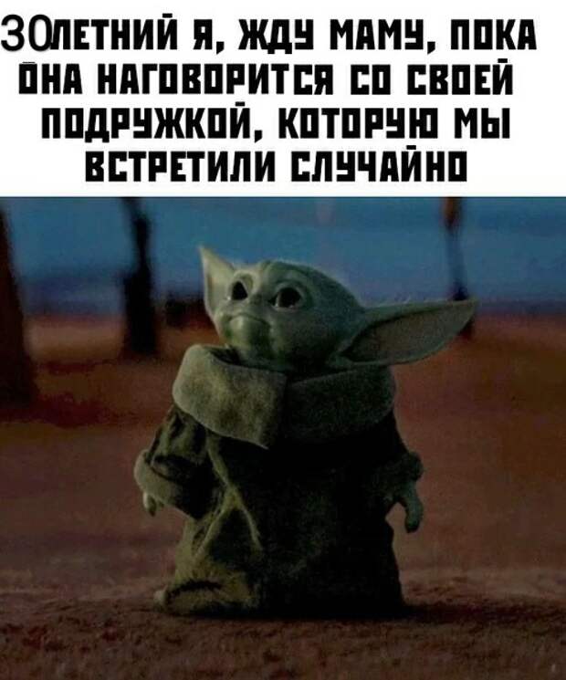 Жду матушку Жду матушку
