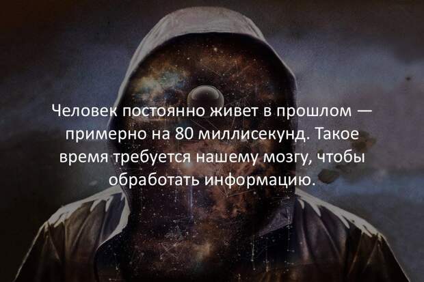 Интересные факты в картинках