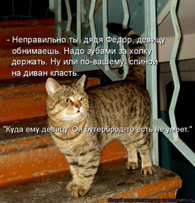 Новая котоматрица (26 шт)