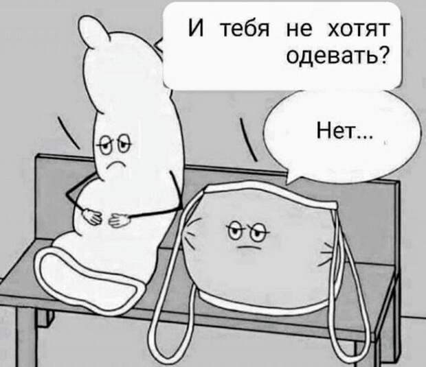 Прикольные и смешные картинки