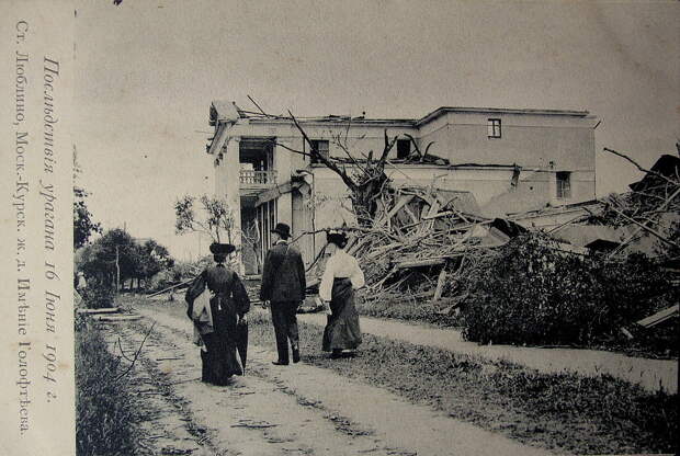 52400 имение Глофтеева, последствия урагана 1904 года.jpg