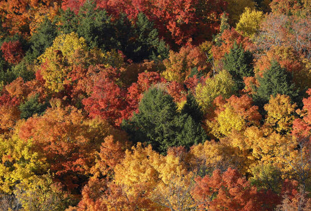 Невероятные краски в парке Thacher State Park