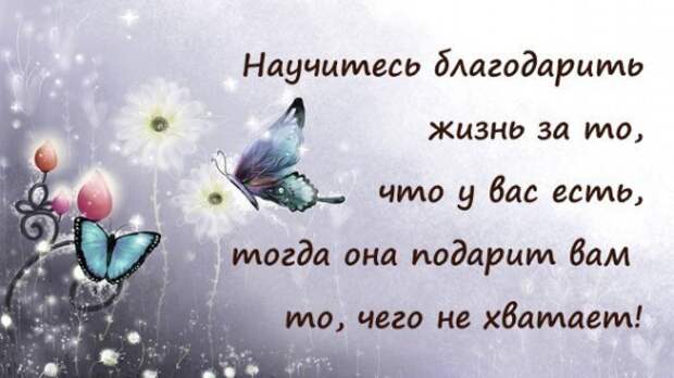 Мудрые мысли в прикольных картинках Мудрые мысли в прикольных картинках