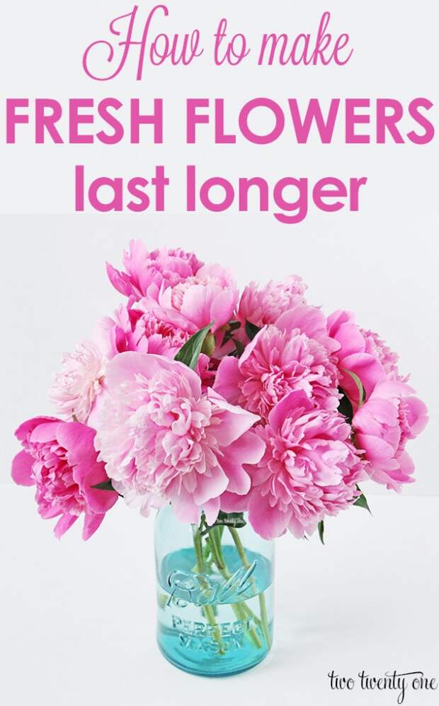 how-to-make-fresh-flowers-last-longer-637x1024