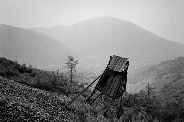 5 главных книг о ГУЛАГе
