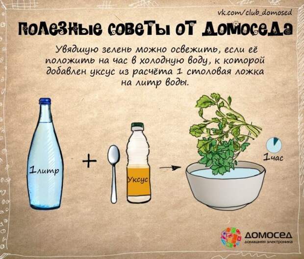 полезные советы от домоседа, полезные кулинарные советы