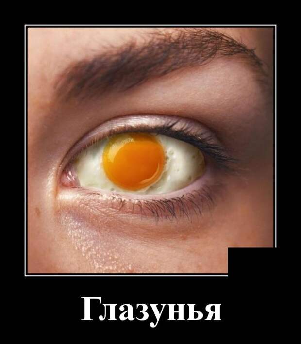 www.vsyako.net