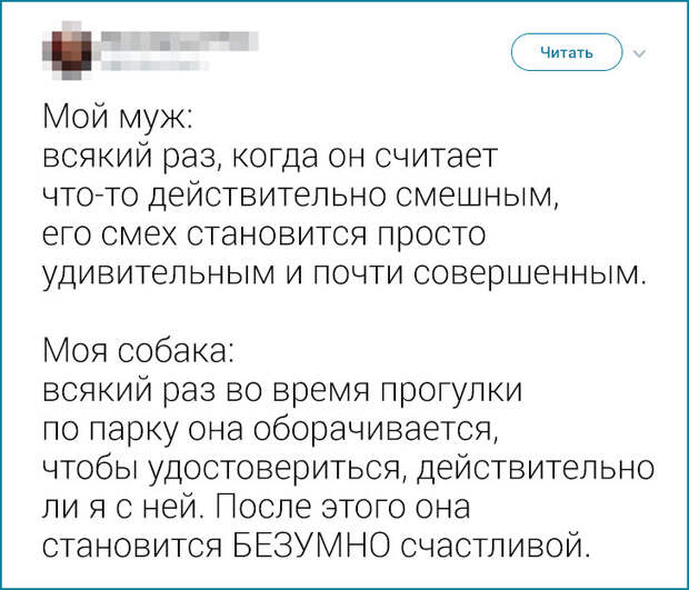 20+ твитов о милых странностях, которые люди подметили у своих близких