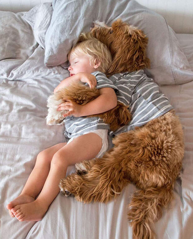 Сладкий сон. Instagram reagandoodle. Сладкий сон. Instagram reagandoodle.