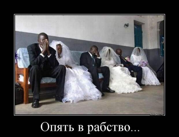 Сборник свежих демотиваторов (12 шт)