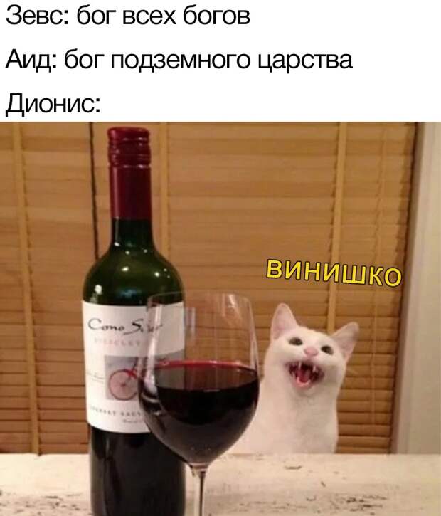 греческие боги в мемах