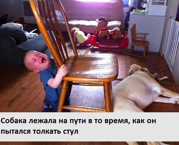 20 нелепых поводов, по которым плачут дети