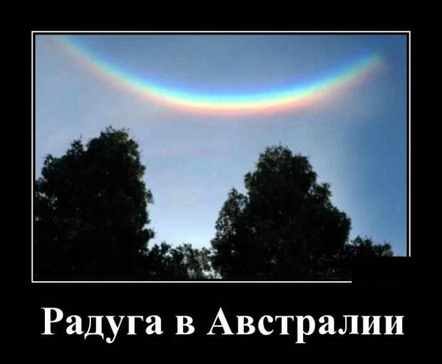Демотиваторы (20 фото)