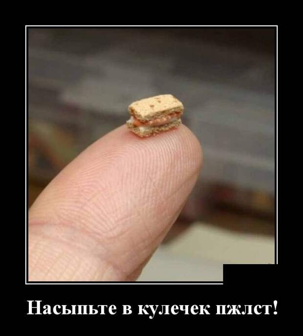 www.vsyako.net
