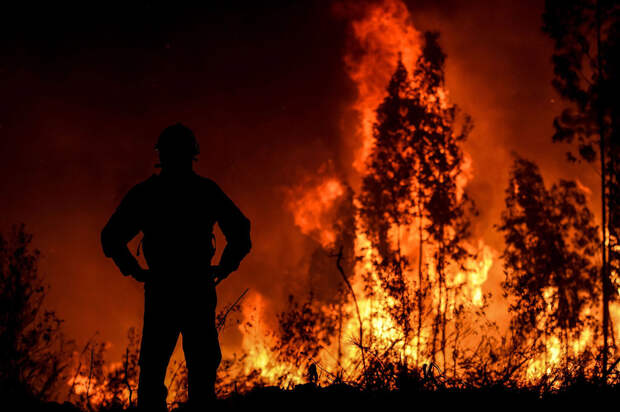 Как в Португалии тушат пожары