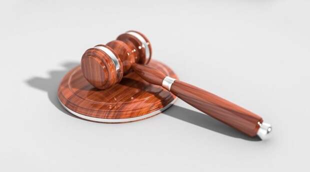 Тимирязевский районный суд вынес обвинение автомобильному мошеннику