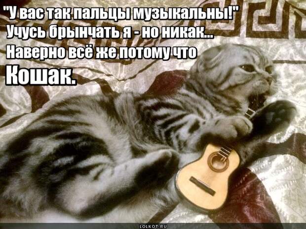 Виртуоз гитары 