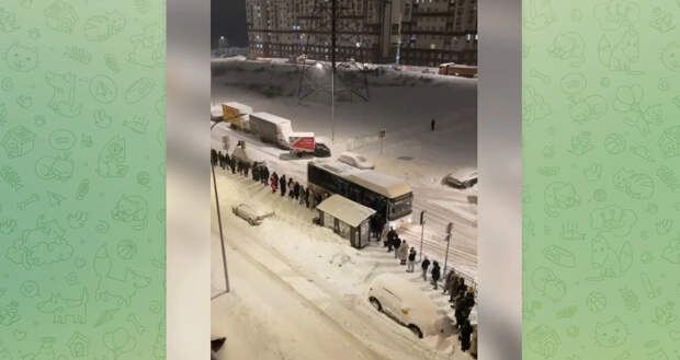 Многометровые очереди на общественный транспорт в Подмосковье попали на видео