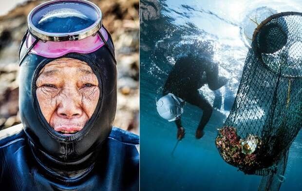 Хэнё – уникальные ныряльщицы, самой молодой из которых 75 лет