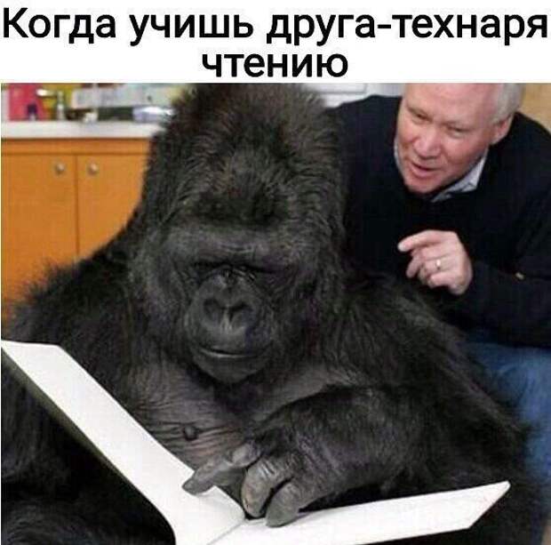 Праздник длиною в жизнь Праздник длиною в жизнь