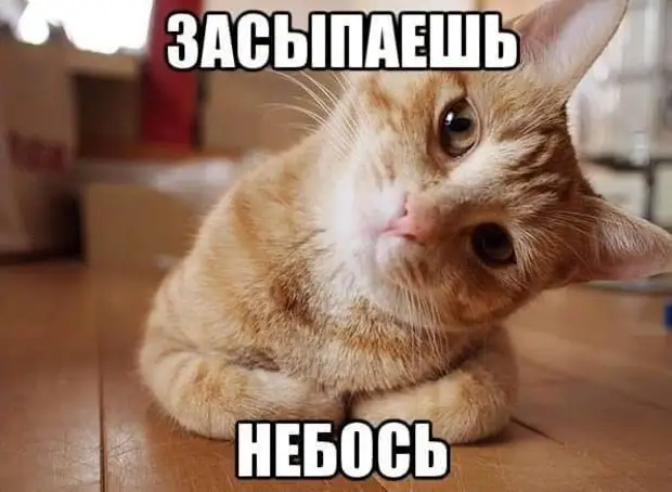Нотка юмора для прекрасного вечер
