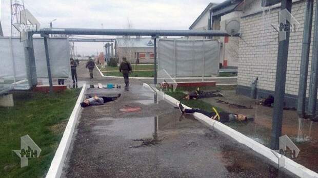 Контрактник и два офицера ранены при нападении боевиков на воинскую часть в Чечне, — Росгвардия