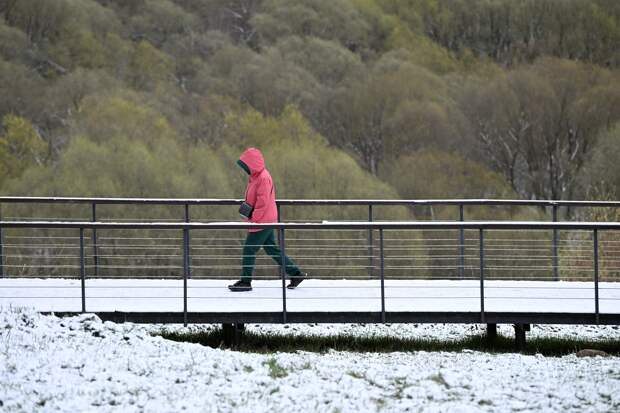 Москвичей успокоили насчет грядущих сугробов