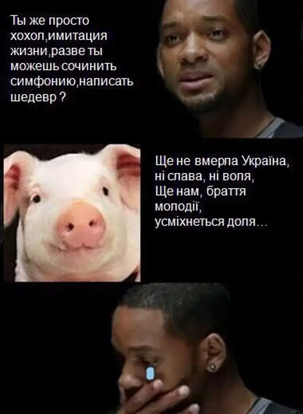 Это сделали хохлы