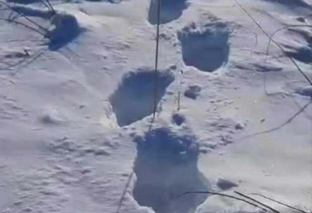 На Кубани неудачный маневр водителя утопил многотонную машину в снегу