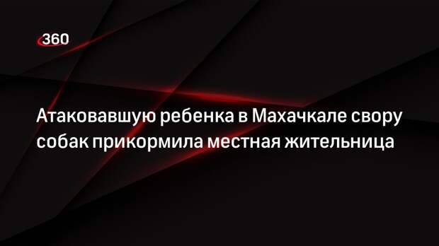 Baza: жительница Махачкалы прикормила свору псов, напавших на мальчика