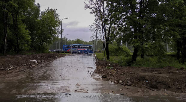 Работа водителем на чемпионате мира по футболу 2018