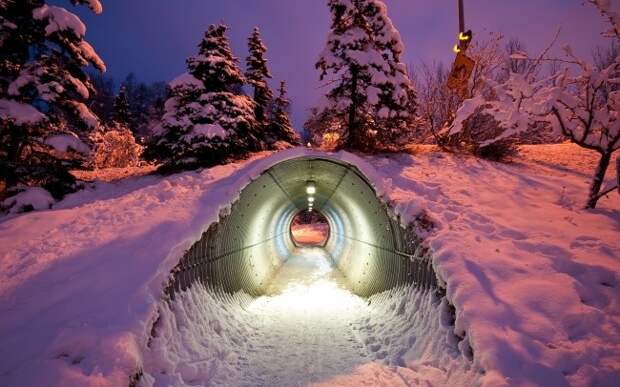 Тоннель под трассой для животных, Финляндия доброта, животные, мир