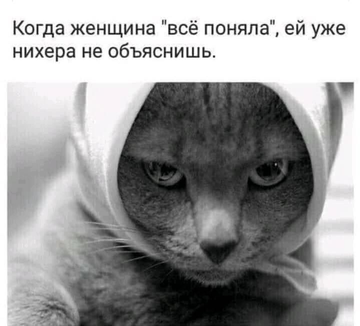 Лучшие годы своей жизни я провел в разврате и пьянстве. Собственно, именно поэтому они и лучшие. Генрих Четвертый Лучшие годы своей жизни я провел в разврате и пьянстве. Собственно, именно поэтому они и лучшие. Генрих Четвертый должны, Любимые, решила, могут, зоопарке, животные, остальные, жирафа, любопытного, очень, вдовой…Изза, стать, завидев, Николая, потомствоНастоящего, сыркаЕдва, плавленого, название, дружба, кажется