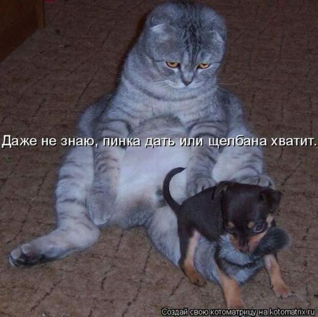 Мысли вслух :)
