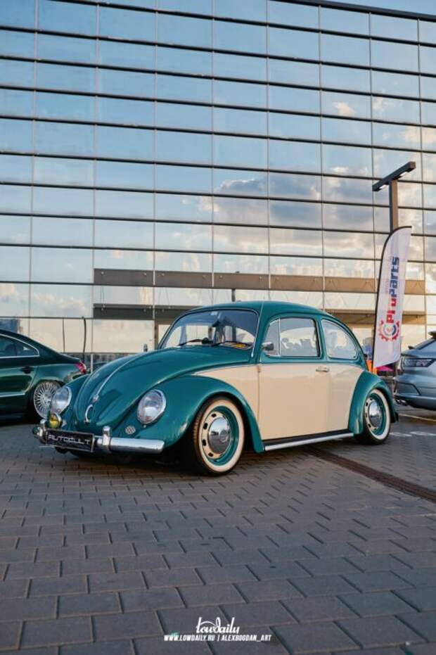autocult fest 2024 143