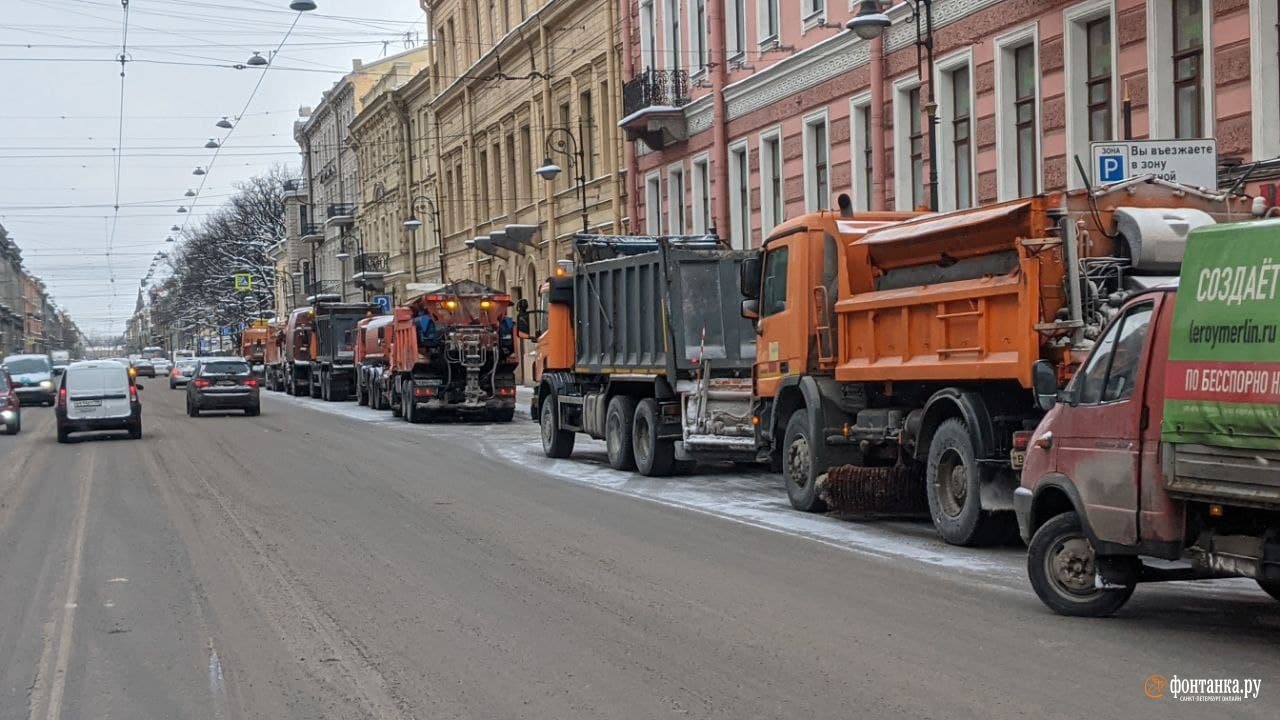 автор фото Павел Каравашкин / «Фонтанка.ру»