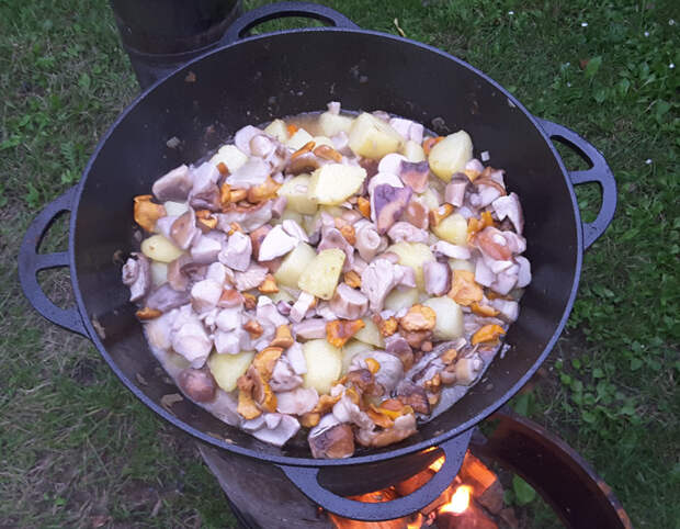 Тушеная картошка с грибами и мясом в казане Тушеная картошка с грибами и мясом в казане