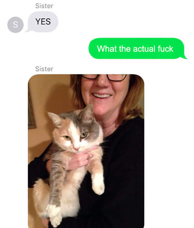 family-text-cat-death-eric-schmidt-7