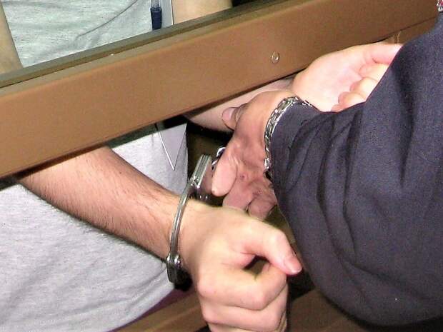 Участник организованной преступной группы получил срок в Новгородской области